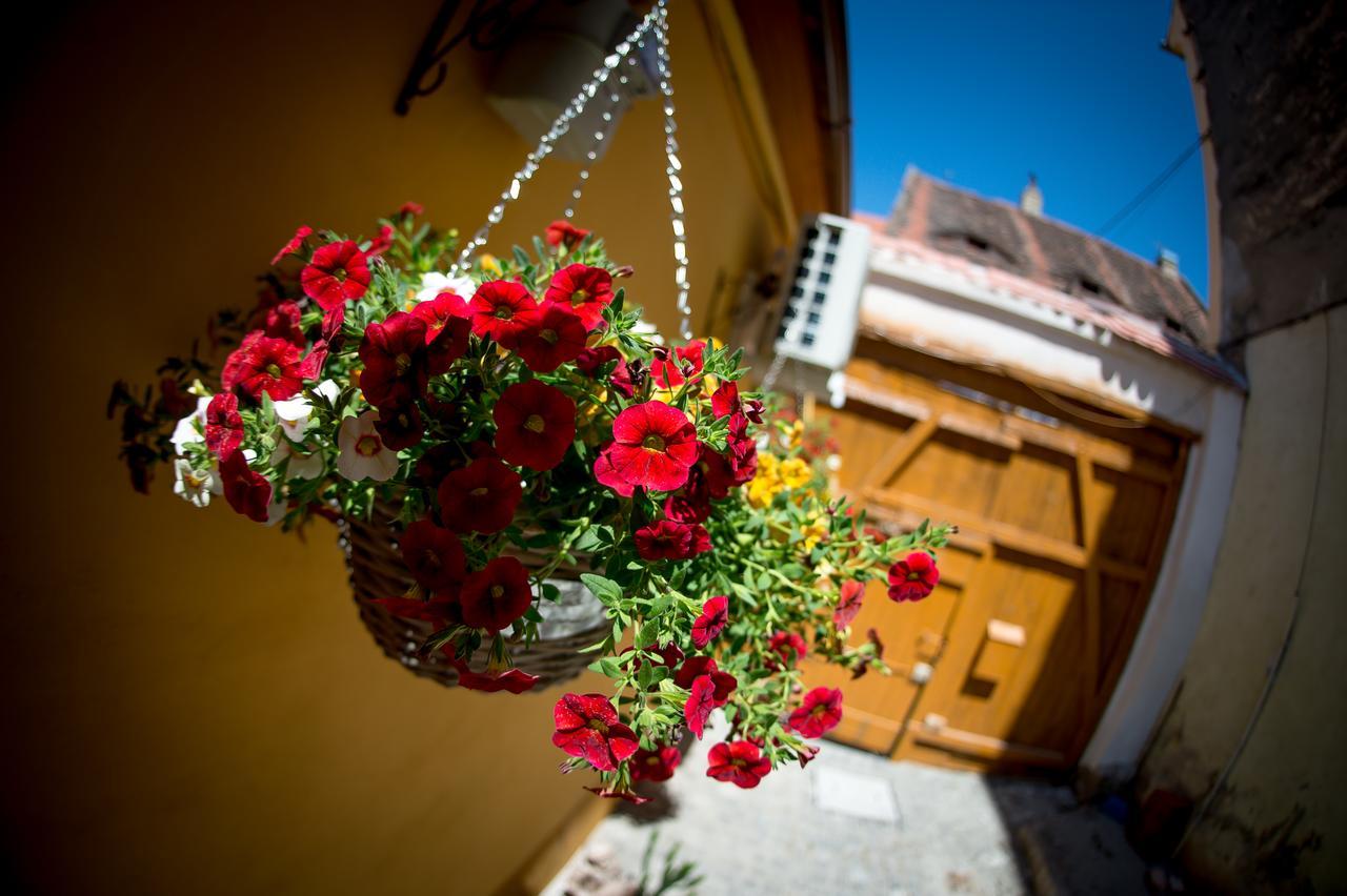 Hermannstadt House 1 Apartment Exterior photo